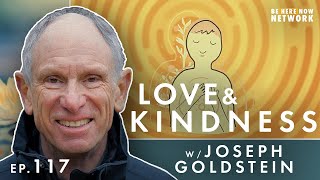 Love & Kindness - Joseph Goldstein's Insight Hour Ep. 117