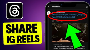 How To Share Instagram Reels to Threads - 2025
