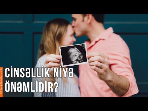 Video: Biz niyə maraqlanırıq?