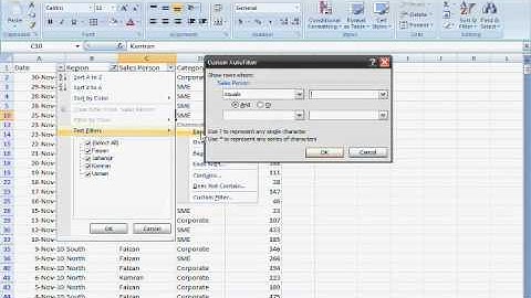 Excel Filter Function part 2 in Urdu.