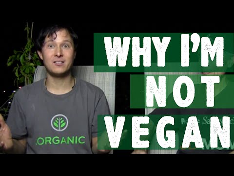Why I'm Not Vegan - Is anyone 100% Vegan ?