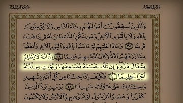 د. عاصم اللحيدان اليوم السادس عشر  سورة النساء من ٢٦ حتى ٦٣