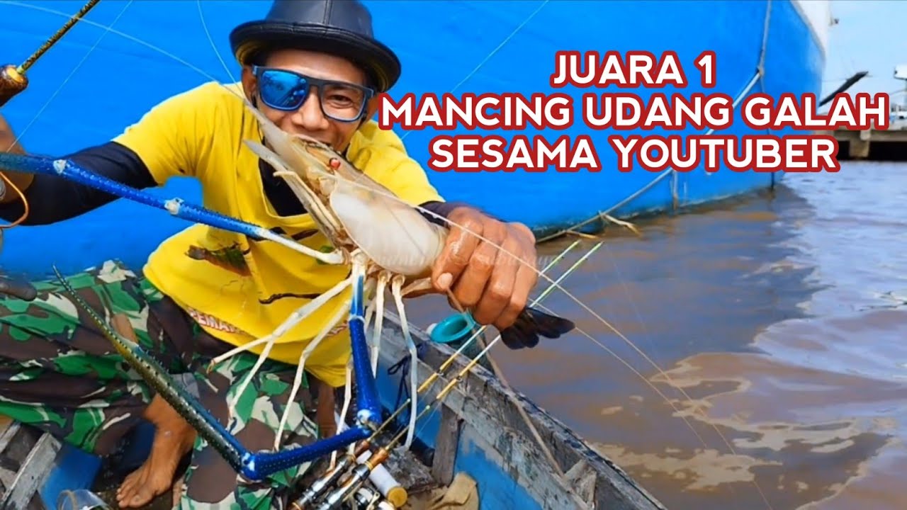Mancing terbaik juara 1‼️ mancing udang pakai umpan anak udang di sambar monster udang galah