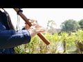 El Condor Pasa - I went for a walk in the park and played Native flute.