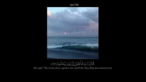 تلاوة تأخذك الى عالم اخر |#هزاع_البلوشي |استمتع ❤️🕊