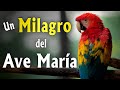 Un MILAGRO del AVE MARÍA  | Buenas noches con María