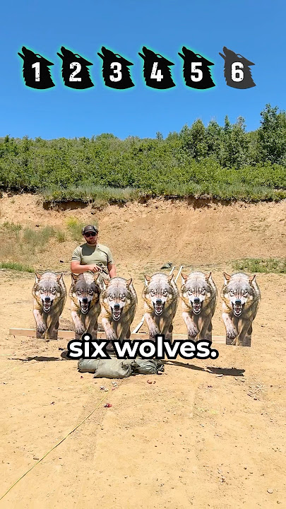 How many attacking wolves can you take in a fight? #hunting
