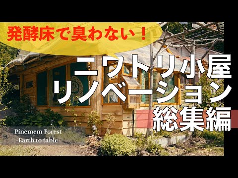 【DIY】発酵床で臭わない！はじめてのニワトリ小屋リノベーション｜チャボとの暮らし