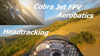 Cobra Jet Head Tracking FPV Aerobatics