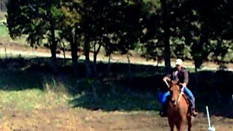 Kim Todd riding Copper her AQHA geldinng at  the E...