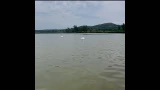 Oblacinsko Jezero 2021