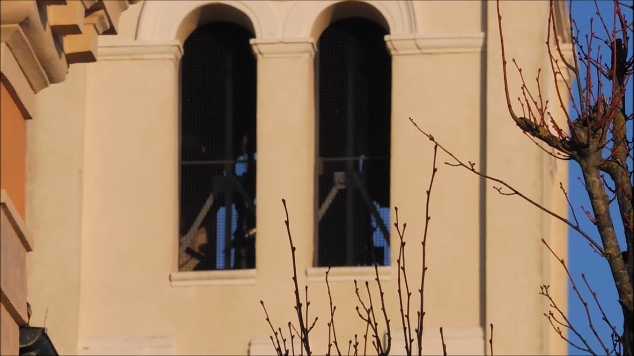 Campane di Canaro (RO) - plenum