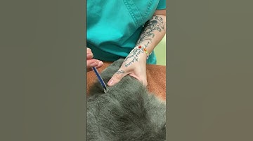 IM injection for feline