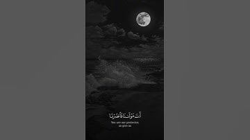 #تلاوة_خاشعة #لايك #المصحف #قران_كريم #دويتو #التغطيه #راحة_نفسية #صلوا_على_النبي #ربنا_موجود