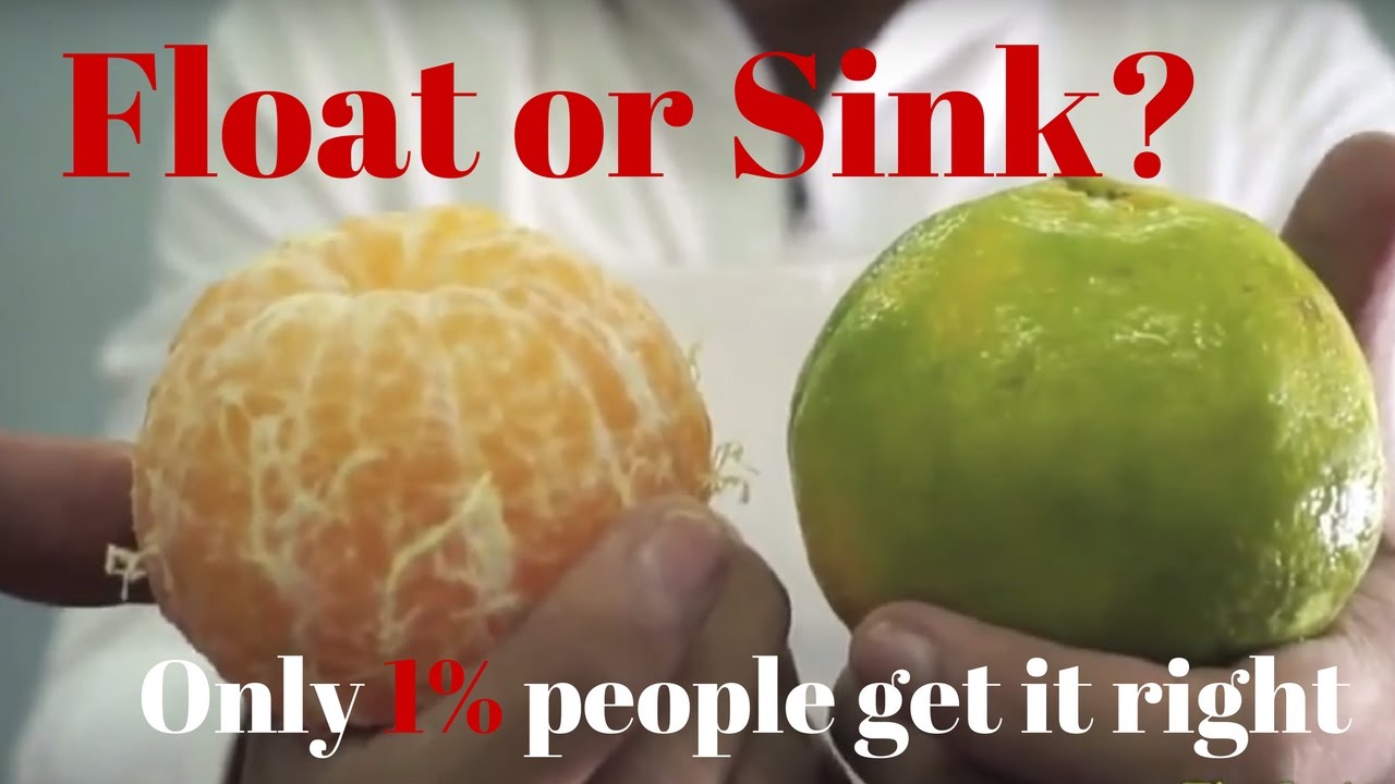 Does An Orange Sink Or Float Surprising Simple Water Science Experiments For Kids At Home 3