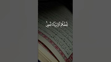 عطر مسمعك بتلاوة من القرآن الكريم🥀 تلاوة فضيلة للقرآن الكريم🍀#تلاوة_خاشعة#اكسبلور#قران#لايك