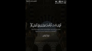﴿وما محمد إلا رسول ..﴾ | القارئ: راشد الحليبة