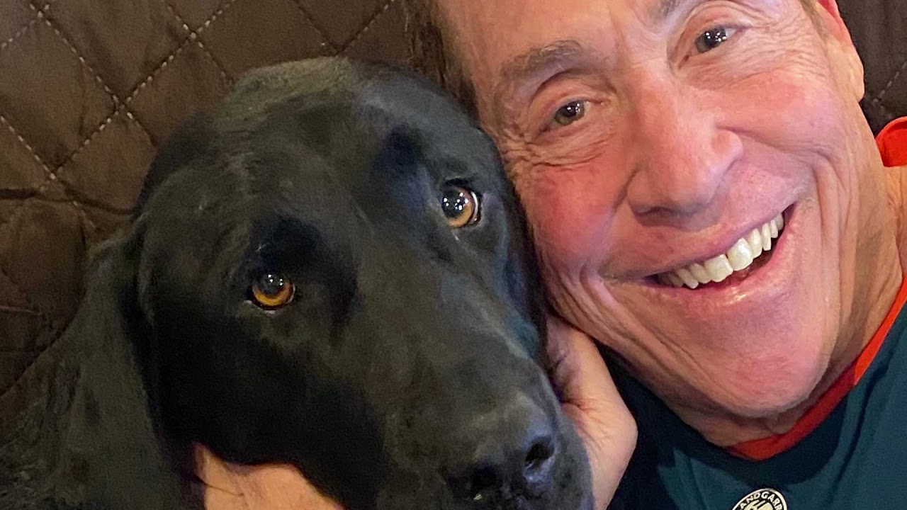 Roy Firestone - What My Dog Taught Me About Life