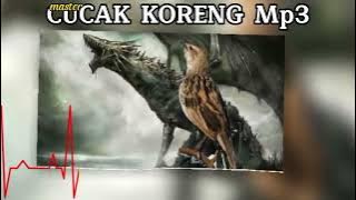 pancingan cucak koreng malas bunyi, gak pakek lama pasti langsung gacor