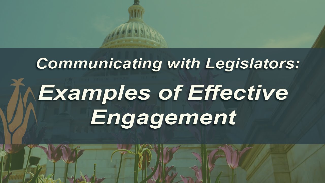 Examples of Effective Engagement
