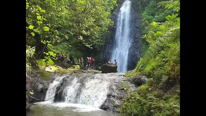 Au Coeur du paradis ⛰💧🇵🇫📍 Mauruuru roa à Aito Rando !🙏🔥