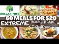 *New* 60 MEALS FOR $20 | EMERGENCY EXTREME GROCERY BUDGET CHALLENGE