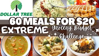 *New* 60 MEALS FOR $20 | EMERGENCY EXTREME GROCERY BUDGET CHALLENGE