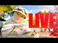 シーズン27ワットソン縛りでソロマスター目指す枠【APEX】