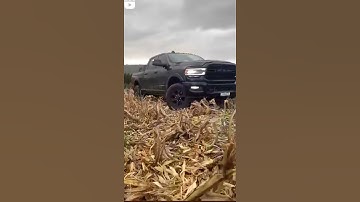 Thumbnail of os agroboys da roça