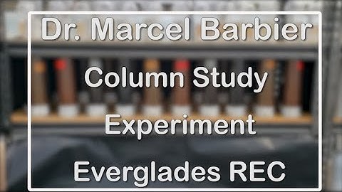 Dr. Marcel Barbier - Column Study Experiment