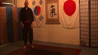 Level 1 Taihenjutsu-Ukemi screenshot 4