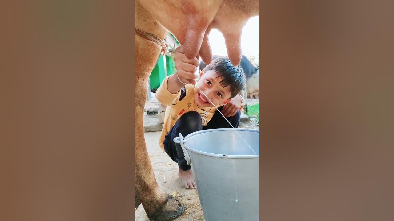 choti choti gaiya fyfg dfe #love #song #funny