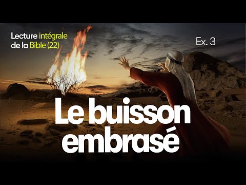 La Parole du jour 22 : Dieu parle à Moïse | 🎧La Bible en Audio | Livre de l'Exode