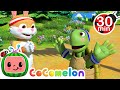 The Tortoise and the Hare and More! | CoComelon Furry Friends | Animals for Kids