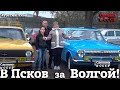 В ПСКОВ за ВОЛГОЙ | ФИНАЛ проекта - экскурсия | "Волчица-Виктория"