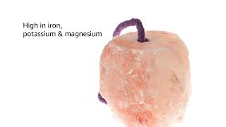 Horsemen's Pride Himalayan Salt Block on Rope for Horses, 2.2 Pounds, SS22