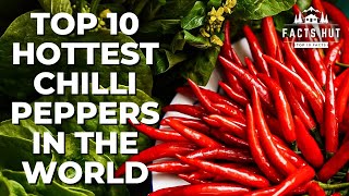 The Most Hottest Chillies ?| 10 Most Hottest Chillies In The World ?