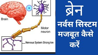 Brain Nervous System एक्यूप्रेशर एक्सरसाइज से सही करे - Nervous System Treatment @YogaRamesh