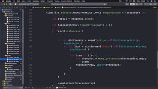 70 Test Run dynamic format check