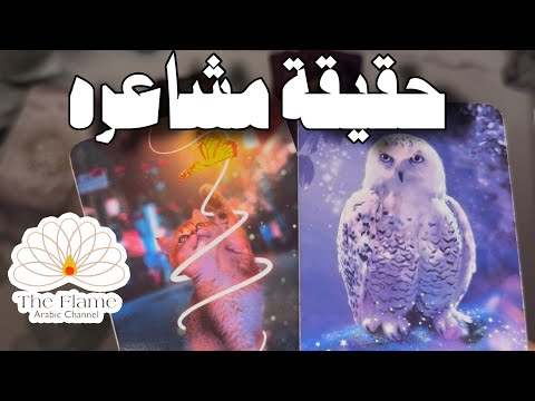 ضع شخص في بالك ما هي حقيقة مشاعره؟ مدى عمقها و ما صدى ما يحصل بينكما في دواخله ؟ 