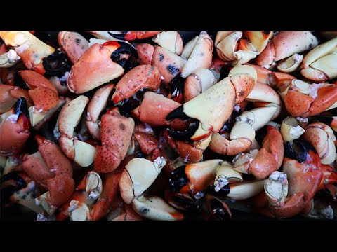 Video: How To Cook Crab Claws