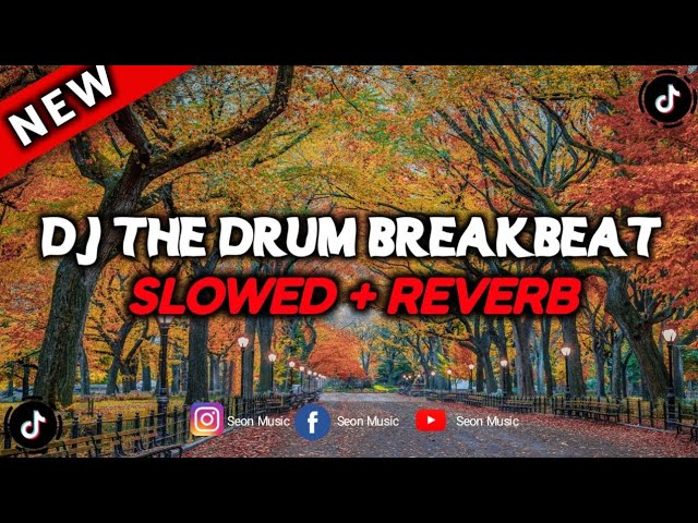 DJ THE DRUM BREAKBEAT (SLOWED + REVERB) class=