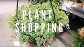 Cultivating Spaces: Where & What to Plant