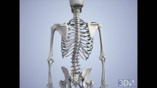 The Effects Of Carrying A Heavy Backpack