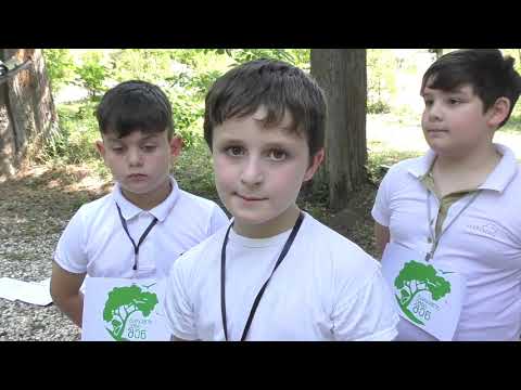 გარემოს ქმნი შენ