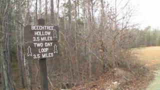 Russell Forest Trail Hike at Lake Martin