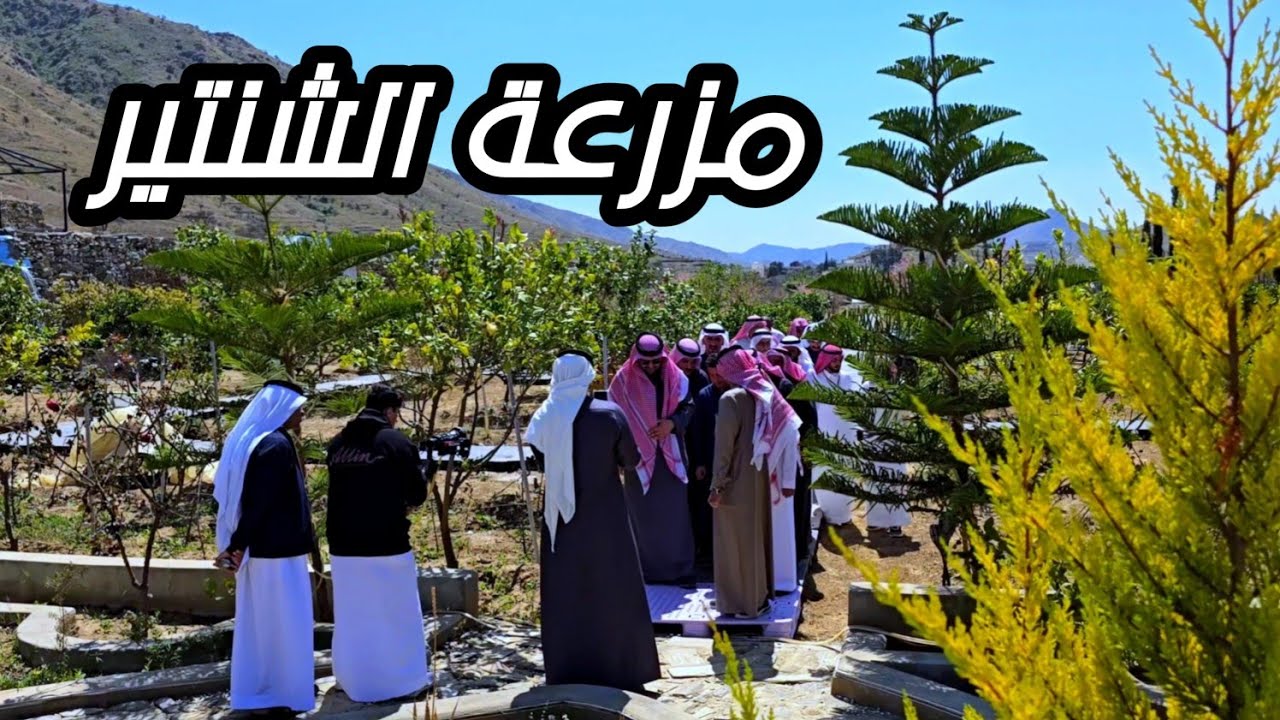 مبادرة توزيع بذور الحنطة على المزارعين بمحافظة القرى- اليوم 26-8-1446 منطقة الباحة مزرعة الشنتير