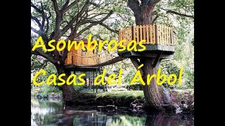 Casas del Árbol, para chicos y grandes - Espectaculares Diseños -  Amazing Treehouse Design