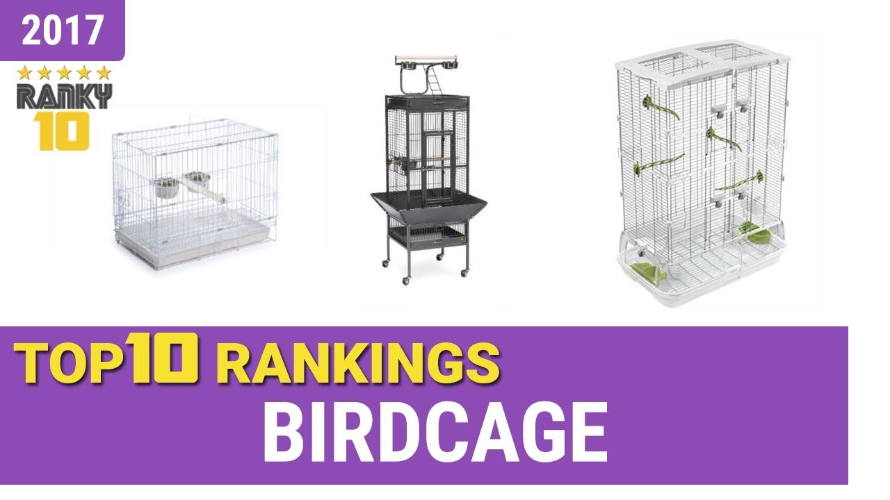 Best Birdcage Top 10 Rankings, Review 2017 & Buying Guide YouTube