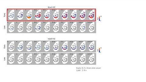 Multisensory Integration in the Cerebral Cortex / Cell Reports, March 13, 2018 (Vol. 22, Issue 11)